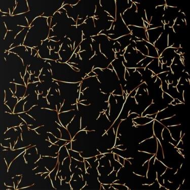 Imagem de Quadro Decorativo Luxo com Estampa Romântica Aleatória para Sala e Quarto 40x40cm