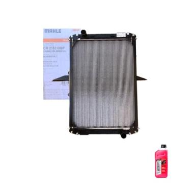 Imagem de Kit Radiador Ford Cargo 815E 10/ + Aditivo DNK Rosa Concentrado Antirust