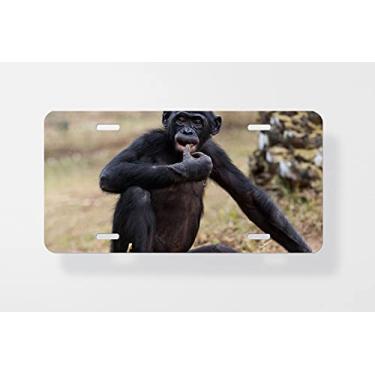 Imagem de Cub of A Chimpanzee Bonobo Capa para placa de carro – Capa para placa de carro – Capa para moldura de placa de carro 15 x 30 cm