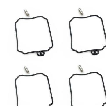 Imagem de Kit de reparo de carburador para configurar diafragma de vácuo e boia compatível com XVZ13A XVZ13AT XVZ1300A XVZ 13A 1300A 13 1300 A (4 agulhas de vedação)