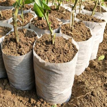 Imagem de 100 unidades de sacos de sementes, sacos de cultivo de plantas biodegradáveis não tecidos, sacos para iniciantes de mudas de tecido para vegetais, flores, mudas de frutas, árvores, suprimentos de