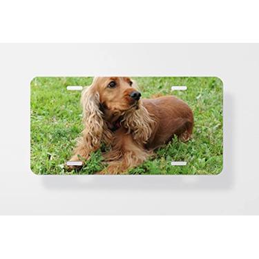 Imagem de Cocker Spaniel – Capa para placa de carro – Capa para placa de licença 15,24 x 30,48 cm