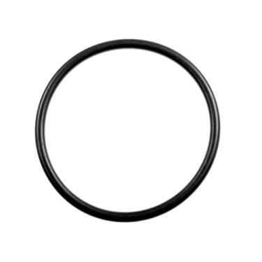 Imagem de GM Peça genuína G24 Anel de vedação para tanque de combustível