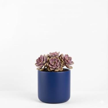 Imagem de Genérico, Jardineira Retangular, Uso Interno, Tamanho P, Cinza, Metal Galvanizado, Resistente, Retangular, Chão, Vaso de Plantas, 10x12x11 cm