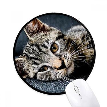 Imagem de DIYthinker Gato listrado gatinho animal relaxante adorável mousepad desktop escritório tapete redondo para computador