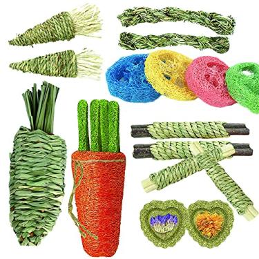 Imagem de 16 peças de brinquedos de coelho, brinquedo de hamster natural para molar, brinquedos de cenoura com cordão de bucha para saúde bucal, promover a digestão, para melhores presentes de hamster