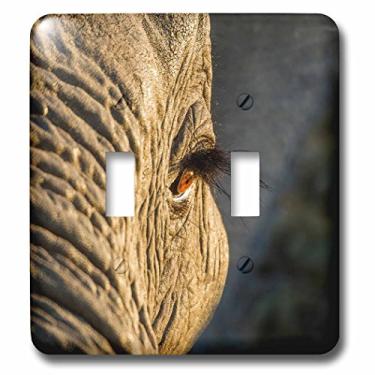 Imagem de 3D Rose LSP_224884_2 Botswana, Moremi Game Reserve, Sunrise Lights Eye of African Elephant Switch Duplo