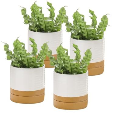 Imagem de Hasense Vasos de plantas suculentas, vasos de flores de cerâmica de 11 cm para plantas de interior, pequeno vaso branco com orifício de drenagem e pires, lindo mini decoração de mesa de peitoril de