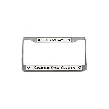 Imagem de Moldura para placa de licença Cavalier King Charles Spaniel (cromada)