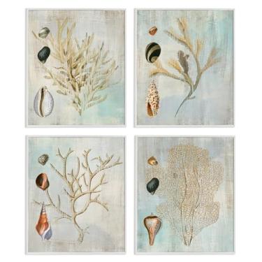 Imagem de Stupell Industries Ramos de coral com várias conchas do mar, conjunto de arte giclée emoldurado branco de Susan Arnot, 28 x 35 cm