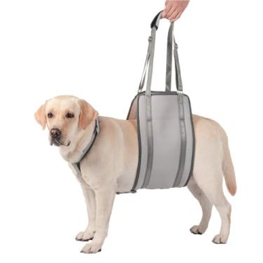 Imagem de HGTRH Arnês de suporte para cães, arnês de elevação com malha respirável ajustável para animais de estimação com dificuldade para caminhar, alívio da dor articular nas pernas traseiras/dianteiras C M