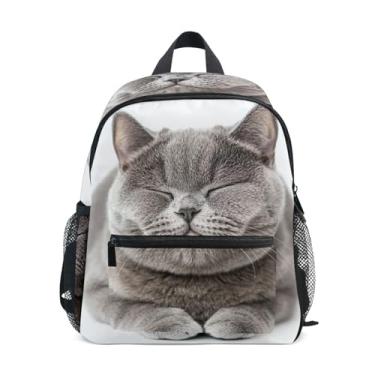 Imagem de GAIGEO British Shorthair Cat Baby Backpack, 10x4x12 In, Boy Toddler Backpack Includes Water Bottle Pockets, Whistle Clip for Safety