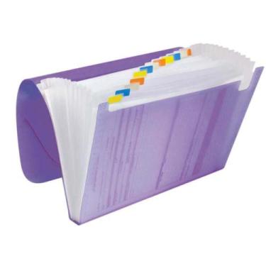 Imagem de Pasta sanfona a4 12div line lilas dac