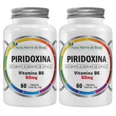 Imagem de Kit 2X Vitamina B6 (Piridoxina) 60 cápsulas - Flora Nativa - Flora Nat