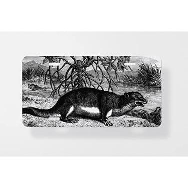 Imagem de Capa para placa de licença The Potamogale of Gabon vintage gravada – Capa para placa de carro – Capa para placa de carro 15 x 30 cm