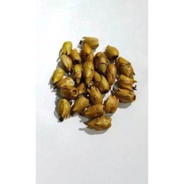 Imagem de Fava flor de oxum - CASA FÉ