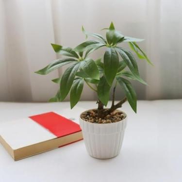 Imagem de Planta artificial em vaso – bonsai de vegetação sintética, decoração criativa para casa, planta falsa para sala de estar e mesa de escritório (verde1)