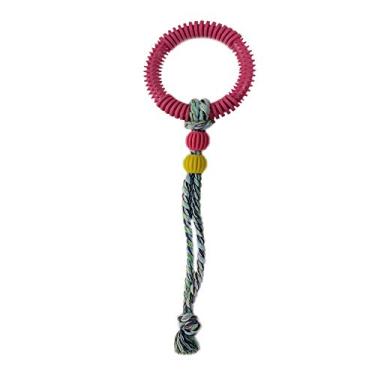 Imagem de Brinquedo Art Injet Cabo de Guerra Argola com Cravo para Cães - Cores Sortidas