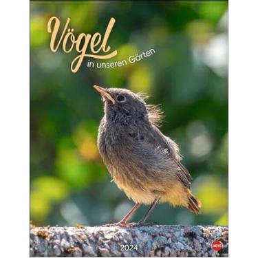 Imagem de Calendário de pôster de pássaros em nossos jardins 2024. Muitas fotos e textos informativos sobre 12 espécies de pássaros em um calendário de parede fascinante. Calendário decorativo com valor