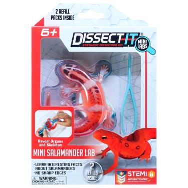 Imagem de Kit De Dissecação Mini Lab Dissect-it - Salamandra