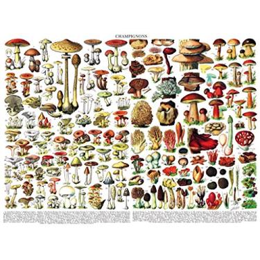 Imagem de New York Puzzle Company - Vintage Images Mushrooms ~ Champignons - 1000 Piece Jigsaw Puzzle