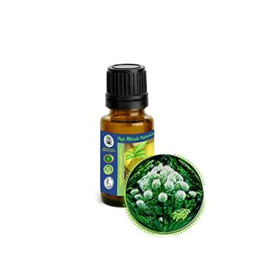 Imagem de 15 ml (15 oz) Óleo Essencial de Raiz de Angélica (Angélica Archangelic)