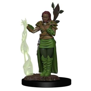 Imagem de Galápagos, Dungeons & Dragons: D&D Icons of the Realms Premium Figures: Human Female Druid, RPG