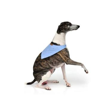 Imagem de Bandana Chic para Cachorro e Gato Pet - Bichinho Chic, Menino, M