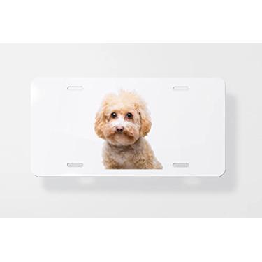 Imagem de Capa para placa de carro isolada em branco Poodle Dog – Capa para placa de carro – Capa para placa de carro 15 x 30 cm