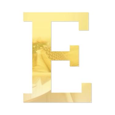 Imagem de Letra E em Acrílico Espelhado Dourado