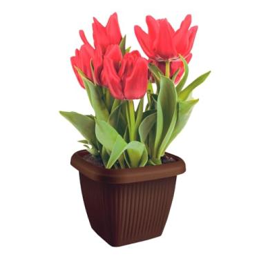 Imagem de Vaso De Plantas Design Moderno Decoração 1,7L em Polipropileno (Marrom)