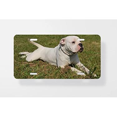 Imagem de American Bulldog On Grass Placa de licença - Capa para placa de carro - Capa para placa de carro - 15 x 30 cm