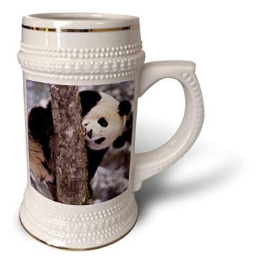 Imagem de 3dRose China, urso panda gigante, Wolong Nature Reserve-AS07 CCR0829-Charles Crust, 530 ml, caneca de 650 ml, branca
