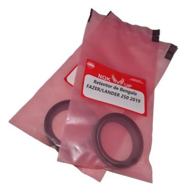 Imagem de Kit Retentores Bengala Garfo 41x53x8/10,5 Xr Kx Kdx 55-117 - NQK/UP