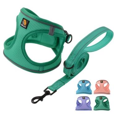 Imagem de Conjunto de arnês para cães BELLA & PAL Small Emerald com coleira refl