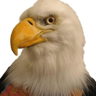 Imagem de Máscara de águia de resina com cabeça de animal para cosplay de Halloween