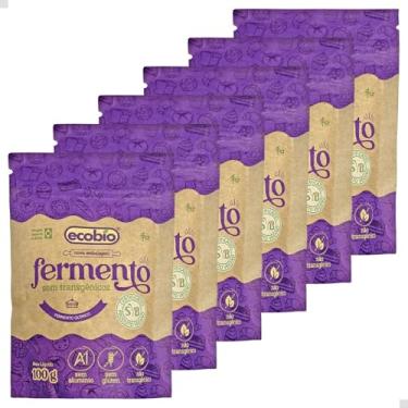 Imagem de 6 x Fermento em Pó Sem Alumínio Não Transgênico 100g - Ecobio