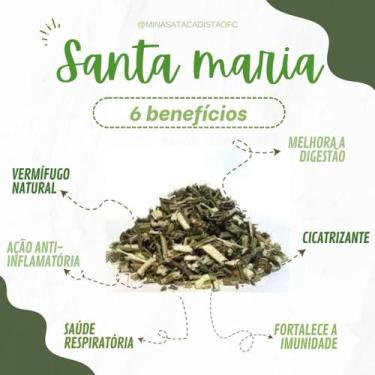 Imagem de Erva de Santa maria Mastruz 1 kg - MINAS ATACADISTA