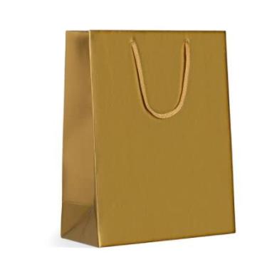 Imagem de Sacola Papel 21x27x10cm 1060 Kraft Natural 10 unidades