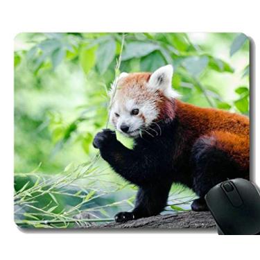 Mouse pad para jogos para animais de estimação, mouse pad de gato para  computadores desktops, PC, laptop