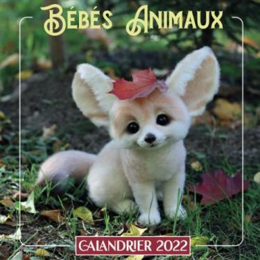 Imagem de calandrier 2022 bèbès Animaux: Une Jolie Calendrier Mensuel de 12 Mois ( de Janvier à Décembre 2022 ) avec Note | 12 Photos en Couleurs hautes ... Animaux idée cadeau original nouvel an Noël
