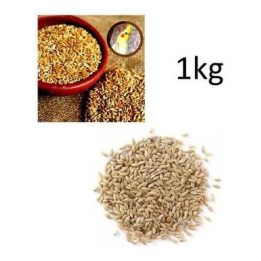 Imagem de Alpiste Polido Limpo Aves Pássaros Sementes Pacote 1kg Limpa - Canaã S