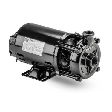 Imagem de Motobomba 1/3CV para Aquecimento Nautilus - 1NRD-19, 1/3 CV, Aquecimen