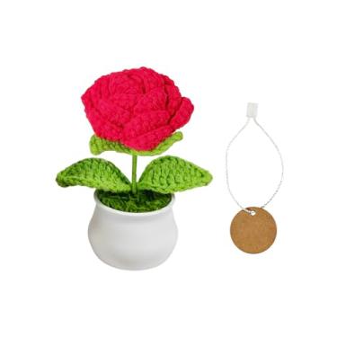 Imagem de Mini vasos de plantas e flores de crochê feitos à mão para apoio emocional | apreciação de professores e funcionários | formatura de aniversário | Decoração de mesa de escritório em casa