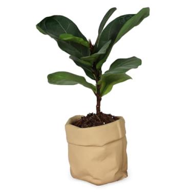 Imagem de Runziti Vaso de flores de cimento criativo com design de serapilheira falsa – Vaso decorativo estilo saco de papel para suculentas, plantas internas e externas, vaso de cerâmica para decoração de casa