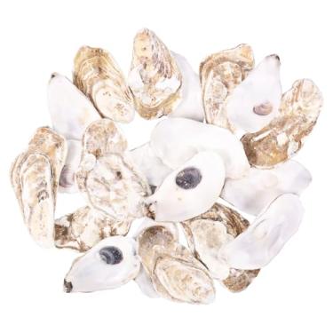 Imagem de 20 peças de linda concha de ostra de 7,6 a 10 cm, artesanato de carbonato de cálcio para festa em casa, faça você mesmo, artesanato, pintura, decoração
