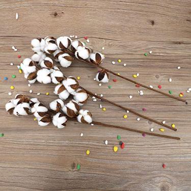 Imagem de GLOGLOW Decoração de Plantas Artificiais Hastes Secas, 3 Peças, Feitas à Mão, 10 Cápsulas por Haste, 60 Cm, para Casamentos e Festas Flor de Algodão Natural Nan