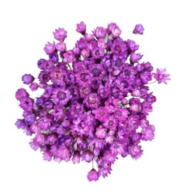 Imagem de Buque de Flores Artificiais Sempre Viva - Kit com 1.600 Flores, Tipo 1 Extra, Arranjo Decorativo para Presentes e Decoração(Magenta,2 buquês (400 florzinhas))