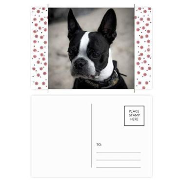 Imagem de Bulldog animal de estimação imagem escura de Natal, Natal, celebração, cartão postal de bênção cartão postal