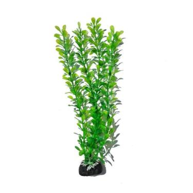 Imagem de Planta Artificial Aquario 25cm verde Enfeite - SKRw
